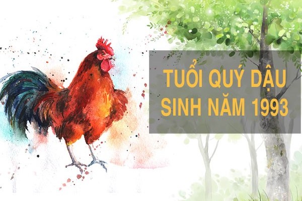 Tuổi Quý Dậu Sinh Năm 1993 Hợp Tuổi Nào?