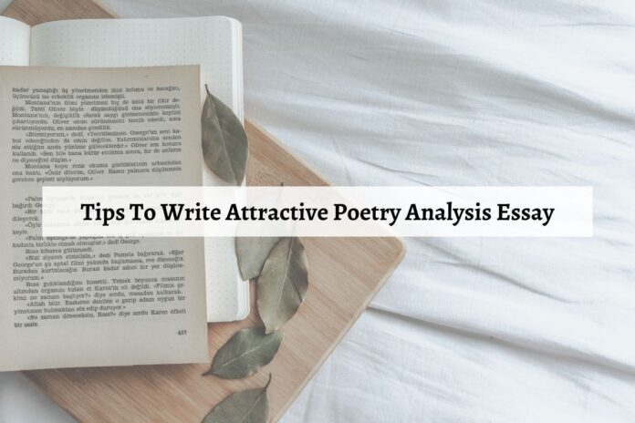 Tips To Write Attractive Poetry Analysis Essay