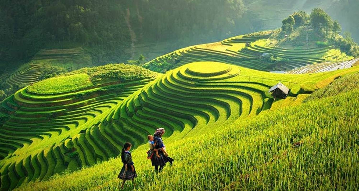 Tour Sapa - Hàm Rồng - Fansipan - Bản Cát Cát 3 ngày 2 đêm - Hướng Tiên Tourist