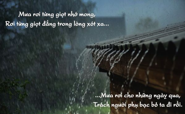 1001 Bài Thơ Hay Về Tình Yêu, Cuộc Sống Ý Nghĩa Nhất