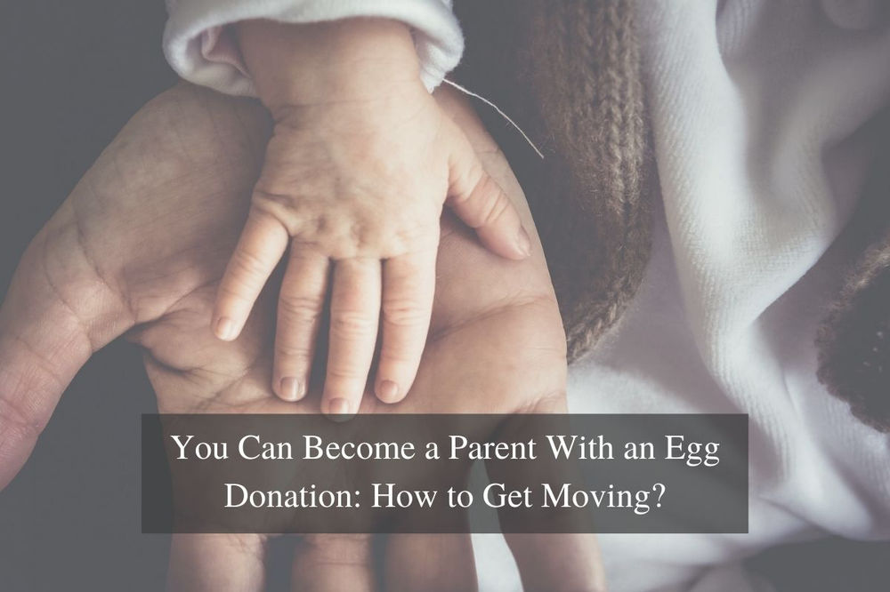 You Can Become a Parent With an Egg Donation: How to Get Moving?