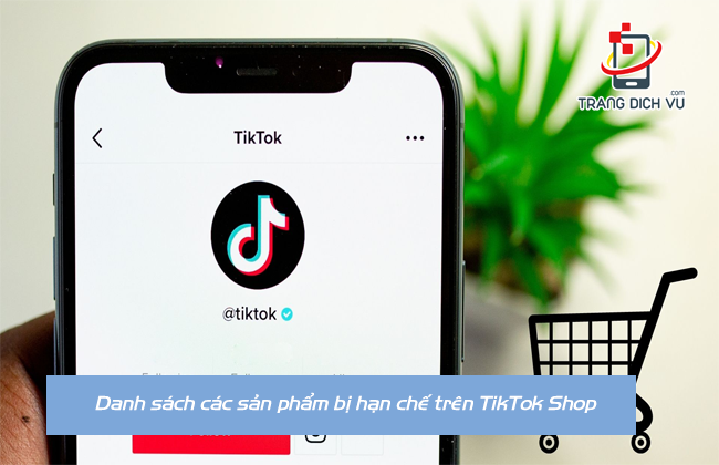 TOP những sản phẩm bị hạn chế trên TikTok Shop