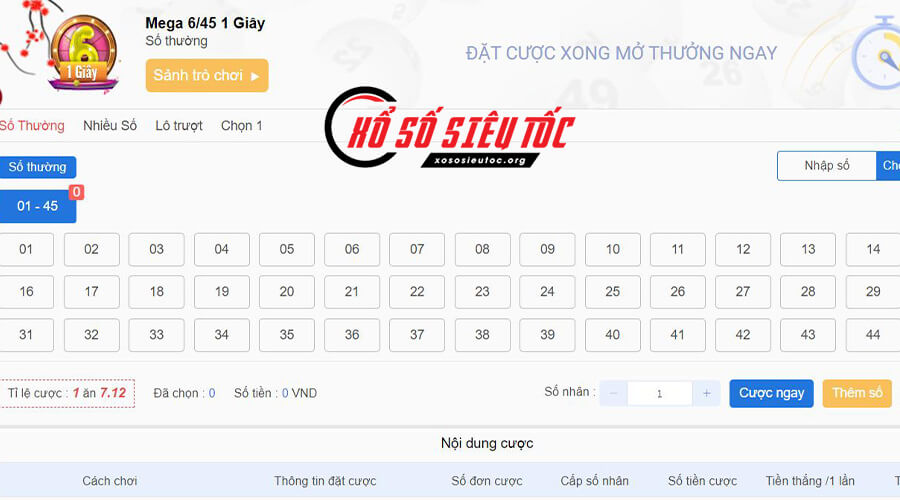 Mega 6/45 1 Giây Là Gì? Hướng Dân Chơi Đơn Giản