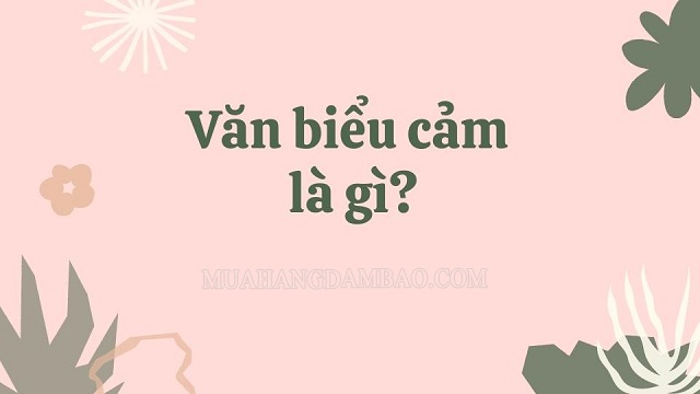 Văn biểu cảm là gì? Các bước làm bài văn biểu cảm