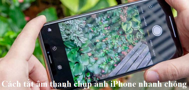 Hướng dẫn cách tắt âm thanh chụp ảnh iPhone nhanh chóng