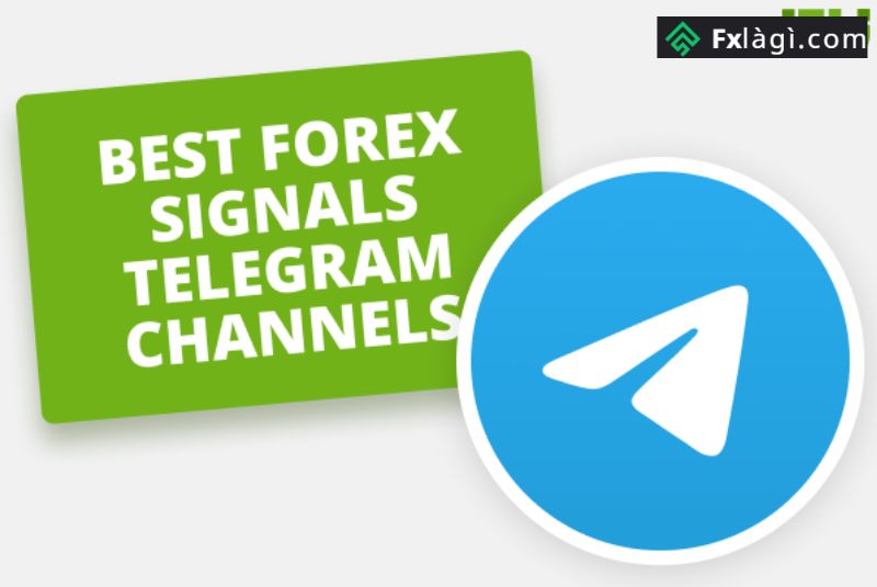 Bật Mí 7 Nhà Cung Cấp Tín Hiệu Giao Dịch Forex Telegram Tốt Nhất