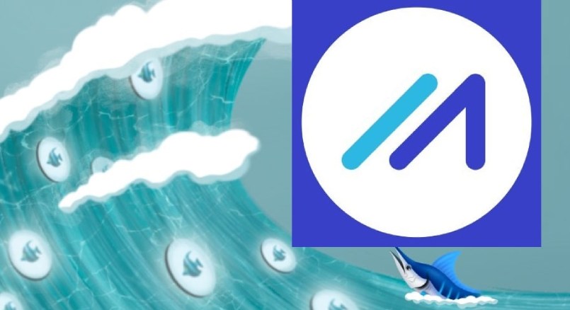 POND Coin là gì? Đồng coin POND có tiềm năng không?