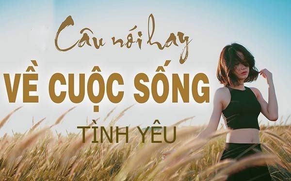 Vài Thứ Hay Ho