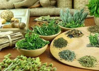 10+ cách điều trị bệnh vảy nến tại nhà hiệu quả bằng dân gian