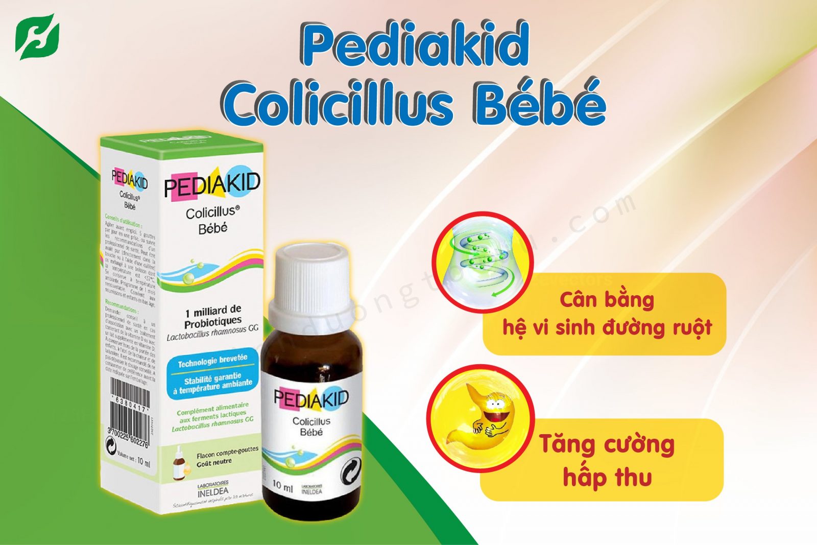 Pediakid Colicillus Bébé - Men vi sinh bổ sung lợi khuẩn cho bé - Dinh Dưỡng Tối Ưu