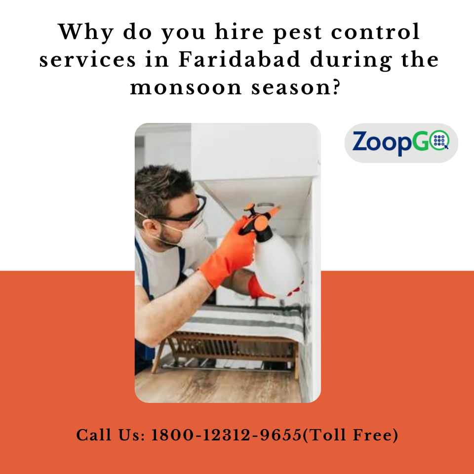 Why do you hire pest control services in Faridabad during the...