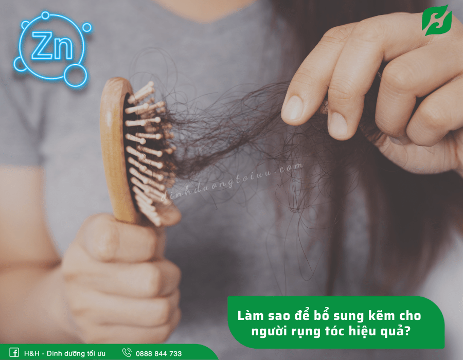 Làm sao để bổ sung kẽm cho người rụng tóc hiệu quả? - H&H Nutrition