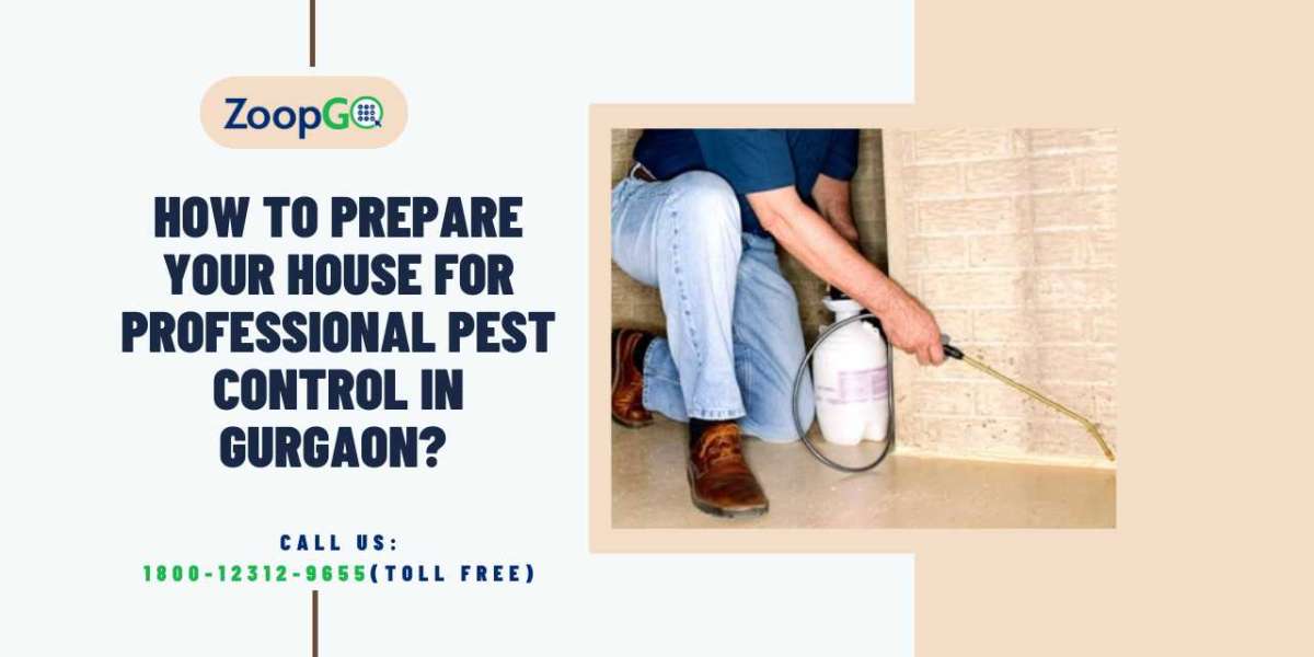 How to prepare your house for professional pest control in Gurgaon?