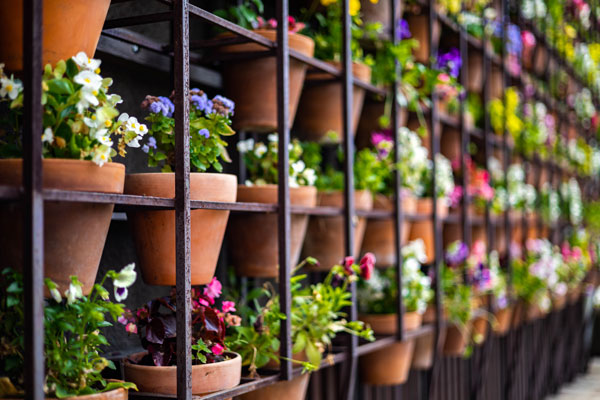 12 Most Popular Vertical Garden Design Ideas For Small Spaces - HIREtrades