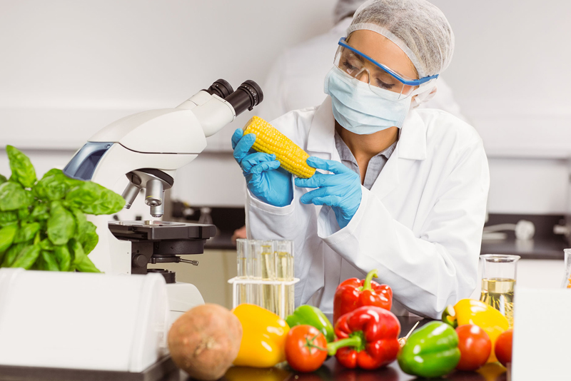 Types of food products testing