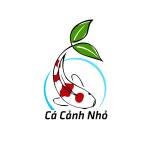 Blog Cá Cảnh Nhỏ