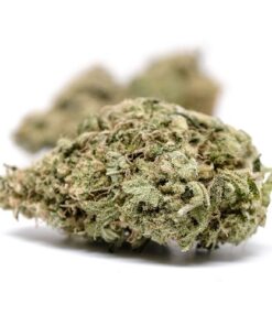 Weed - Order Weed Online in Wholesale USA | Weed Online Store in USA | Real Weed for Sale Online USA | Sky Marijuana Shop