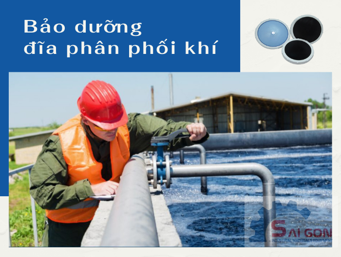 Hướng dẫn vệ sinh, bảo dưỡng đĩa phân phối khí hiệu quả ❇️