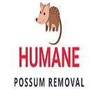 Humane Possum Removal