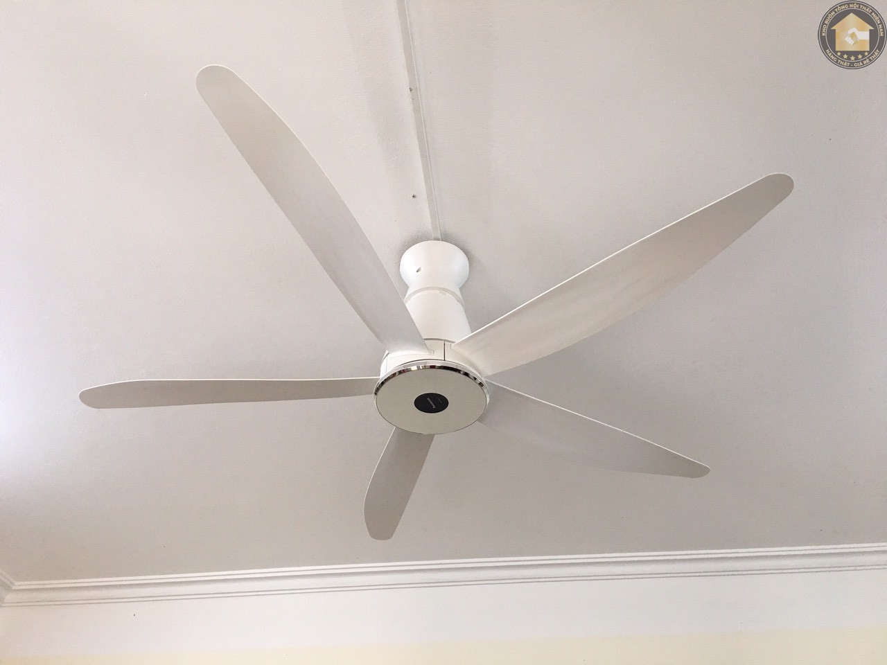 Top quạt trần Panasonic mẫu mã đẹp giá rẻ, đáng mua nhất hiện nay