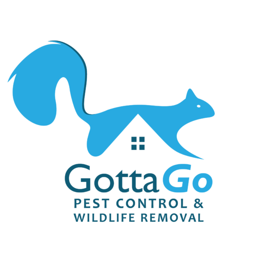 GottaGo Pest Control – GTA's #1 Pest Control Services