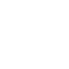 Mean Stack Development Service