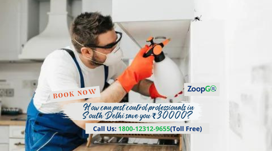 H1 - How can pest control professionals in South save you ₹30000?...