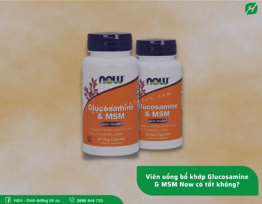Viên uống bổ khớp Glucosamine & MSM Now có tốt không? - H&H Nutrition