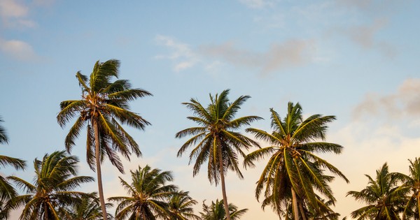 Justallstar's answer to What is inclusive in the southwest vacation packages? - Quora