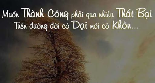 1011 Câu Châm Ngôn Hay Ý Nghĩa Làm Thay Đổi Cuộc Đời Bạn