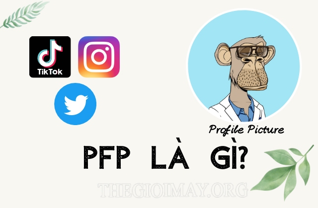 PFP là gì? Nghĩa của PFP trong các lĩnh vực. Tổng hợp meme PFP