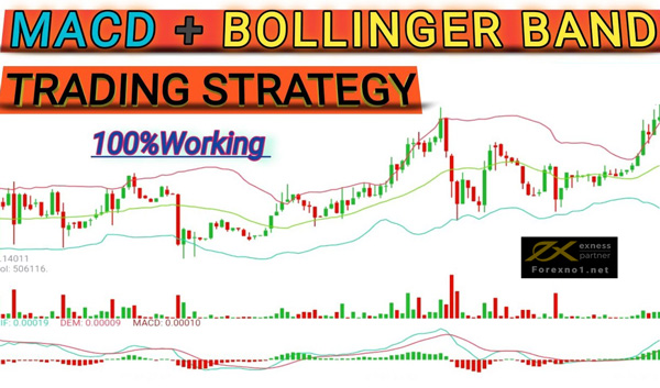 Kết hợp Bollinger Band và MACD trong giao dịch ngoại hối