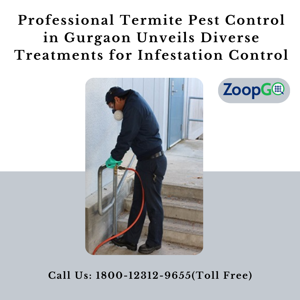 Professional Termite Pest Control in Gurgaon Unveils Diverse...