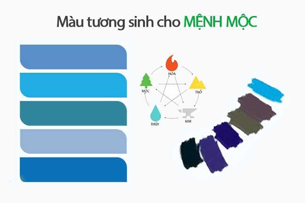Mệnh Mộc hợp màu gì? Bật mí màu phong thủy hợp mệnh Mộc