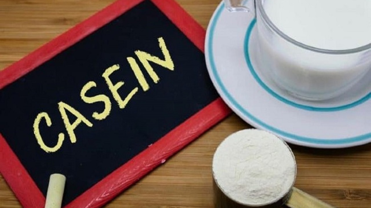 Casein là gì? Vai trò của Casein đối với tăng cơ bắp