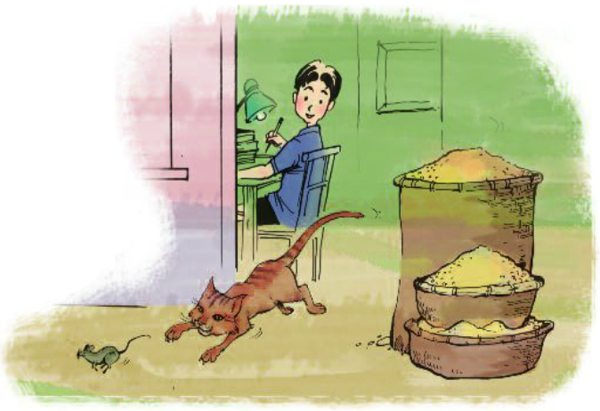 Top 12 Bài Văn Miêu Tả Cuộc Sống Xung Quanh Dành Cho Tiểu Học Các Thầy Cô Tham Khảo - +300 Thiết Bị Vui Chơi Giải Trí Giáo Dục | Skynext.vn