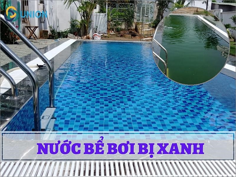 Tại sao nước hồ bơi có màu xanh? Cách xử lý [HIỆU QUẢ]