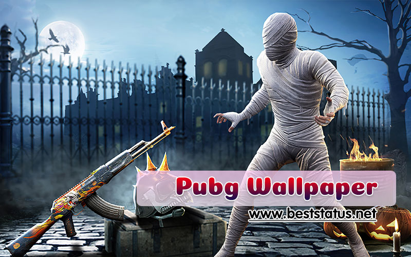 Full HD Pubg Wallpaper for Mobile - Pubg Wallpaper for iPhone & Android