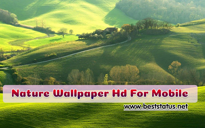 Full HD Nature Wallpaper for Mobile - Nature Wallpaper for iPhone & Android