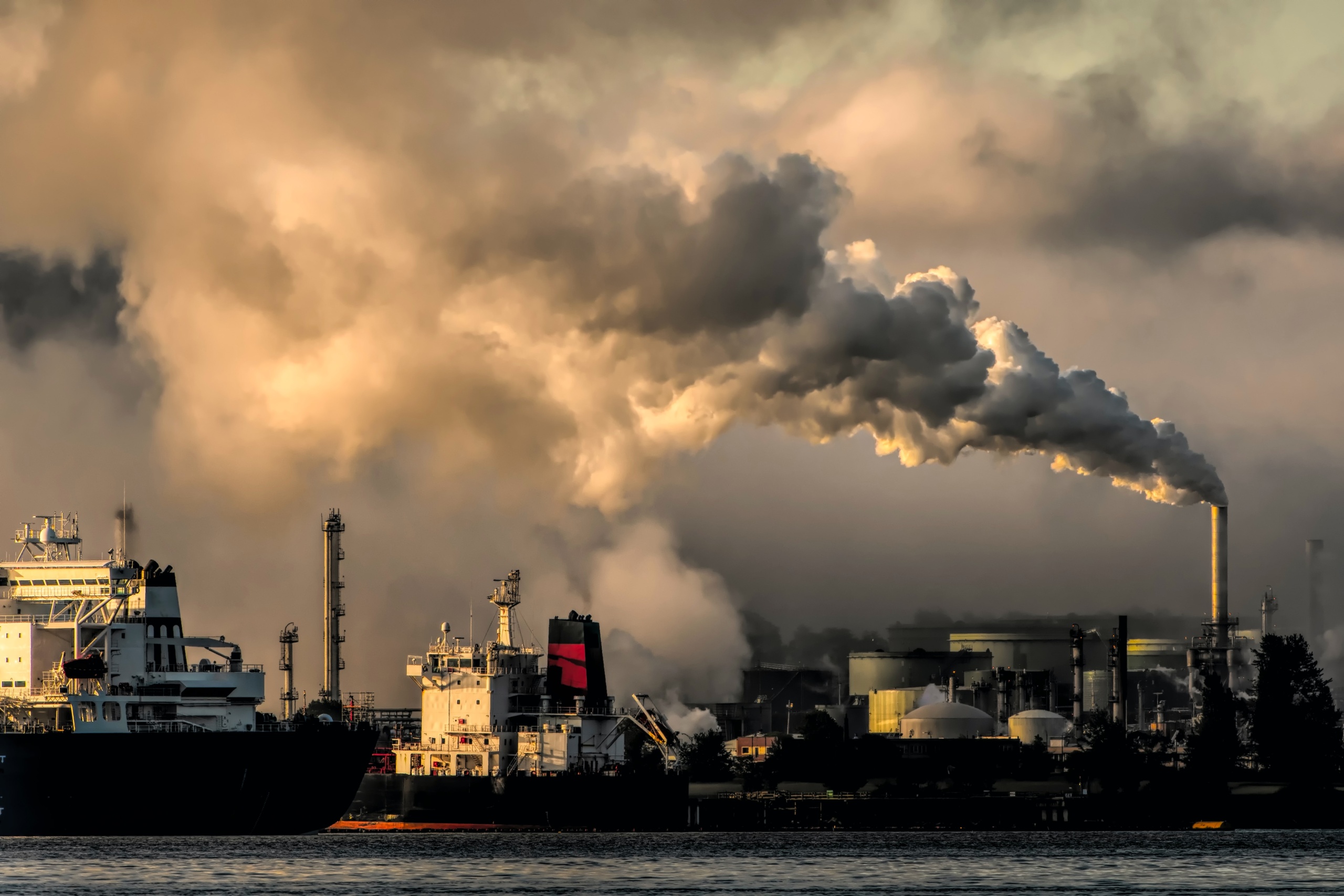 How Students Can Play Role to Minimize Environmental Pollution - US Times