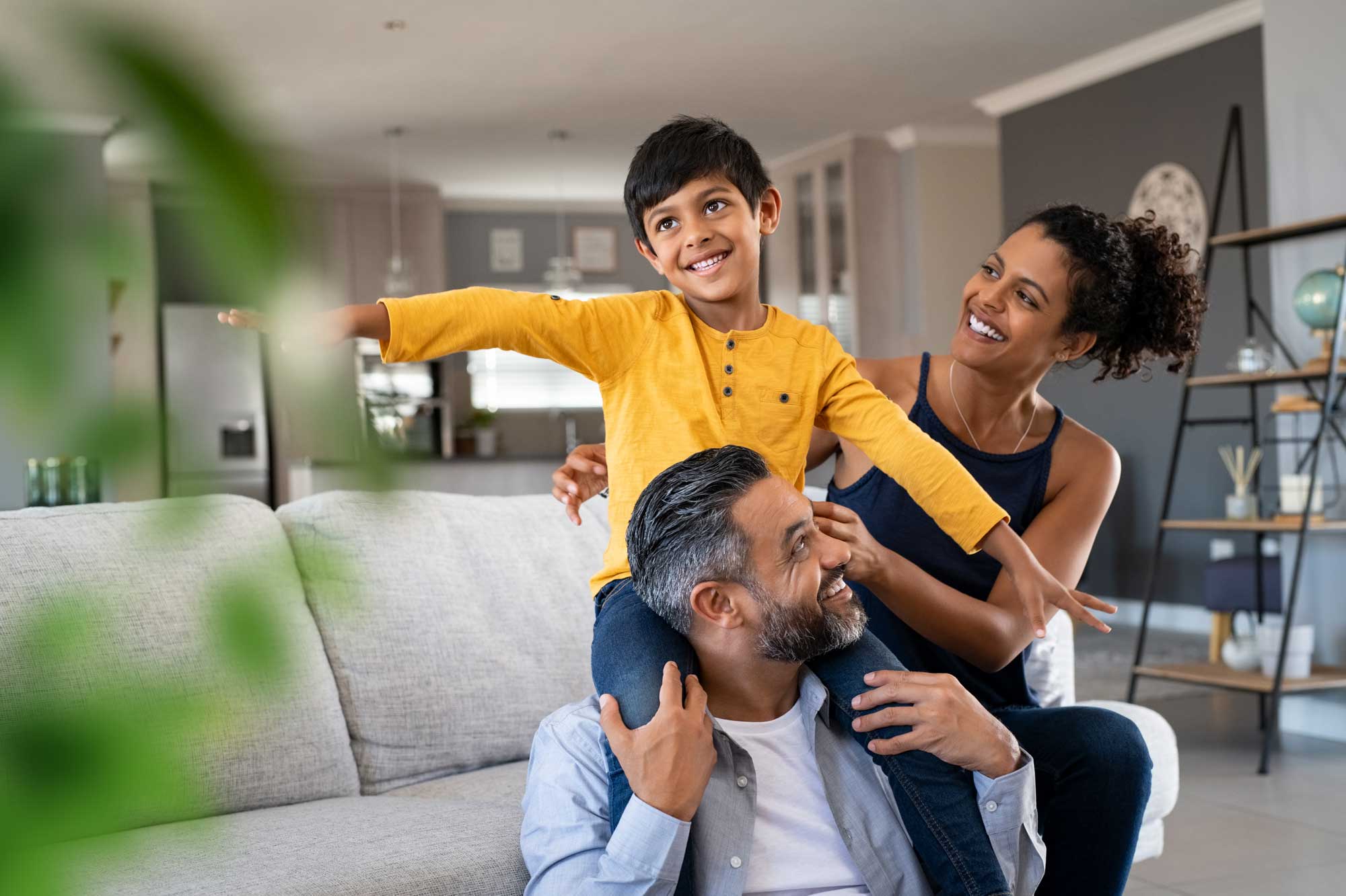 Insulation & Restoration Services Dallas-Fort Worth | Critter Stop