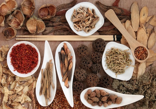 Nguyên nhân và triệu chứng bệnh sùi mào gà ở từng giai đoạn