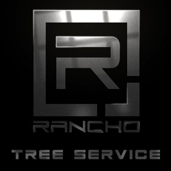 Rancho Tree Removal Service in USA | Rancho Tree Service