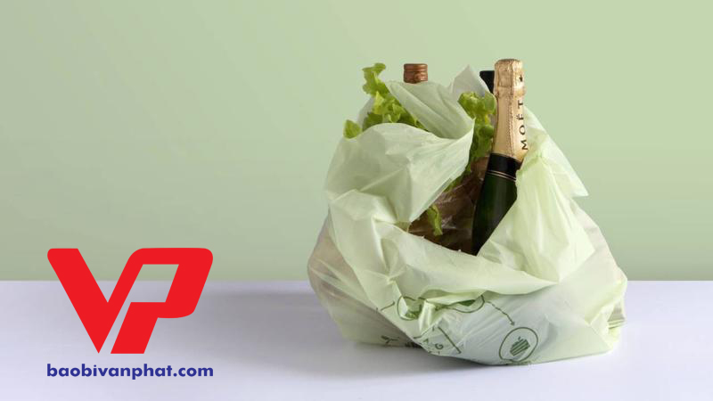 Tại sao túi tự hủy sinh học lại được nhiều doanh nghiệp lựa chọn?