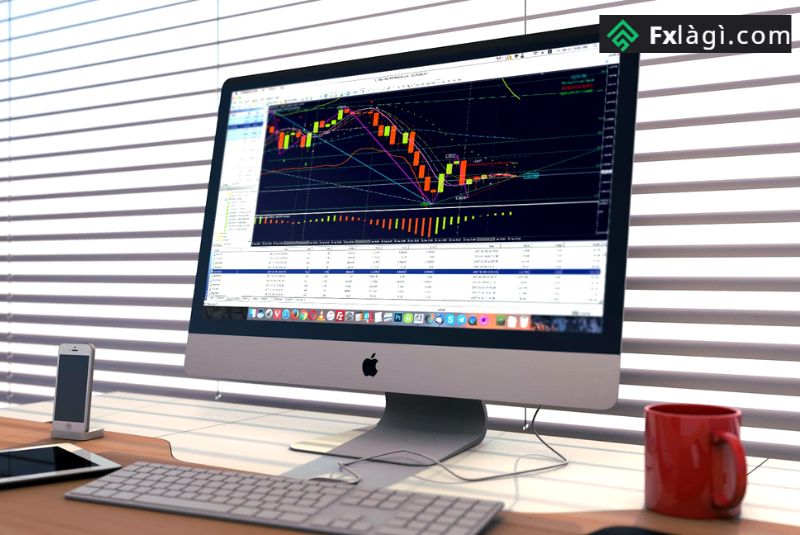 Chơi forex là gì? Nên chơi forex ở đâu?