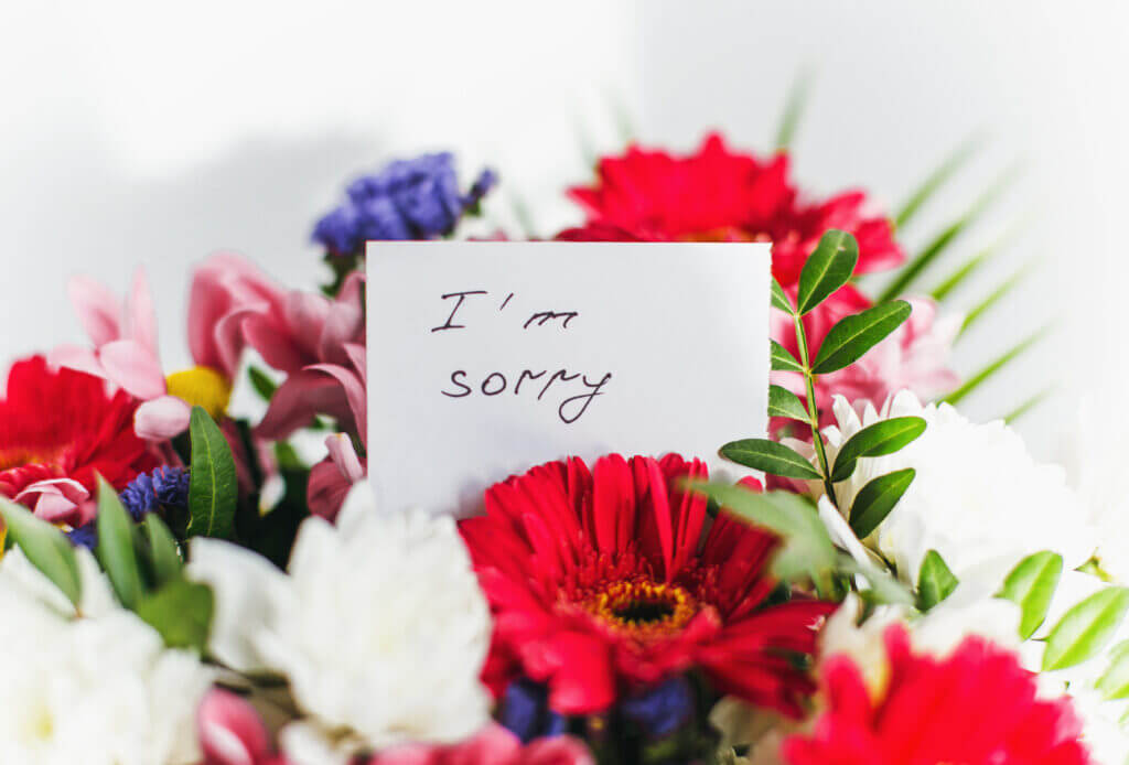 Hoa xin lỗi| 5 loại hoa ý nghĩa nhất để thay lời xin lỗi chân thành