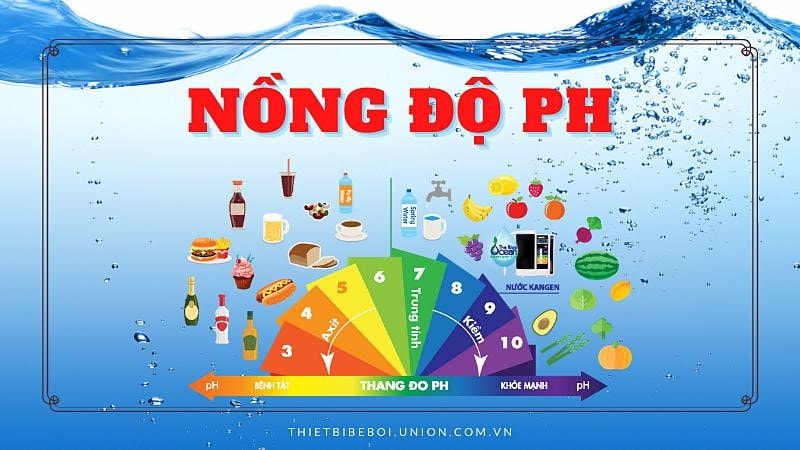 Độ pH là gì? Nồng độ pH của một số dung dịch [PHỔ BIẾN]