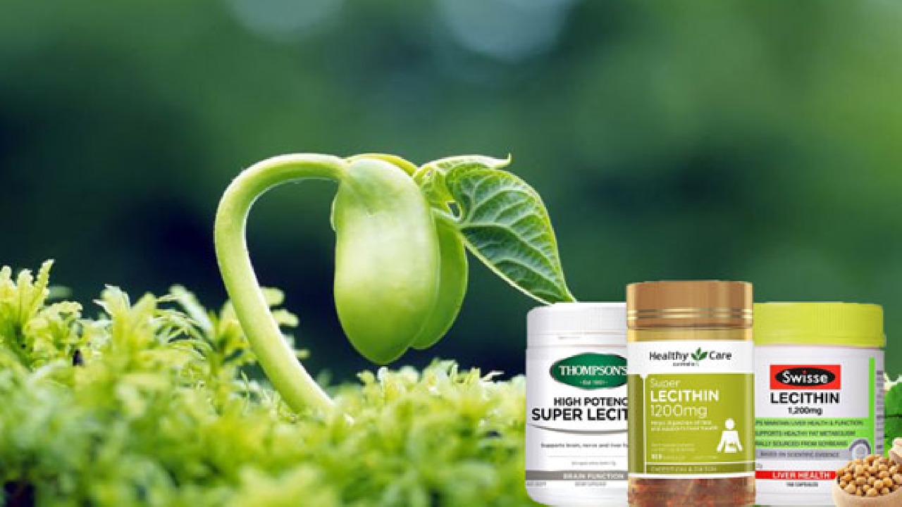 Review top 4 viên uống mầm đậu nành Úc tốt nhất hiện nay