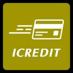 iCredit Vip