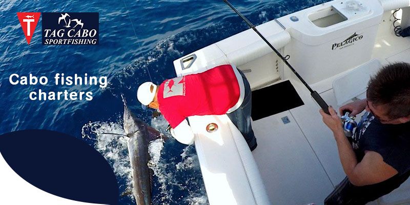 What are the crucial things to carry on a fishing charter trip?              | Tag's Site